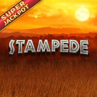 Stampede Jackpot