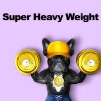 Super Heavy Weight Bingo