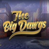 The Big Dawgs