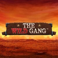 The Wild Gang