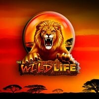 The Wild Life