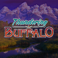 Thundering Buffalo