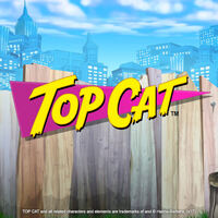 Top Cat