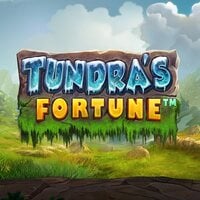 Tundra's Fortune