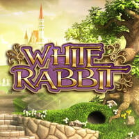 White Rabbit