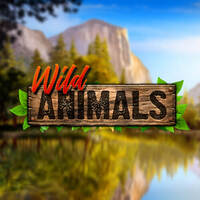 Wild Animals