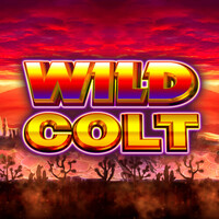 Wild Colt