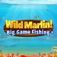 Wild Marlin! - Big Game Fishing