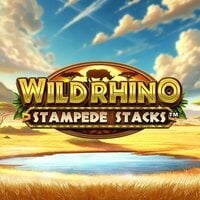 Wild Rhino Stampede Stacks