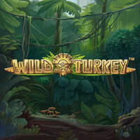 Wild Turkey