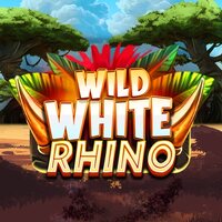 Wild White Rhino