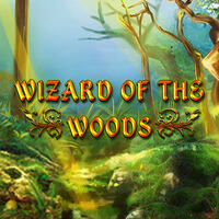 Wizard of the Woods