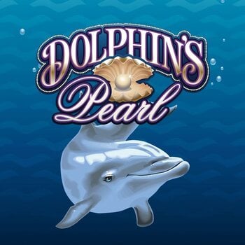 Play Dolphins Pearl Classic at ICE36