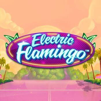 Play Electric Flamingo at ICE36