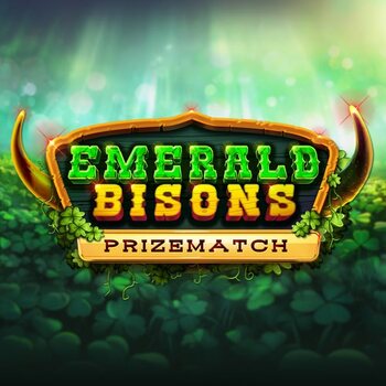 Play Emerald Bisons PrizeMatch at ICE36