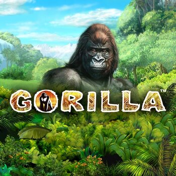 Play Gorilla at ICE36