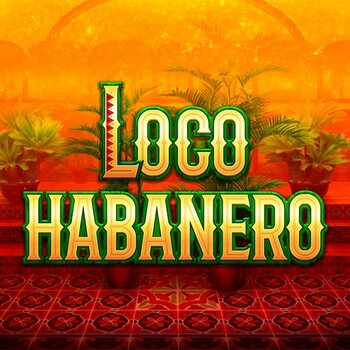 Play Loco Habanero at ICE36