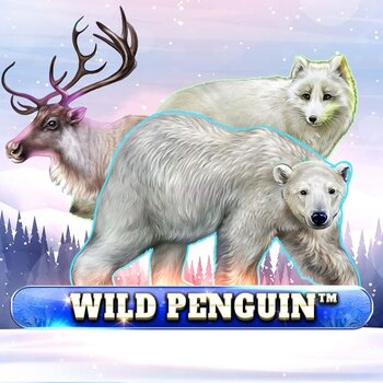 Play Wild Penguin at ICE36