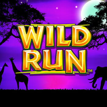 Play Wild Run at ICE36