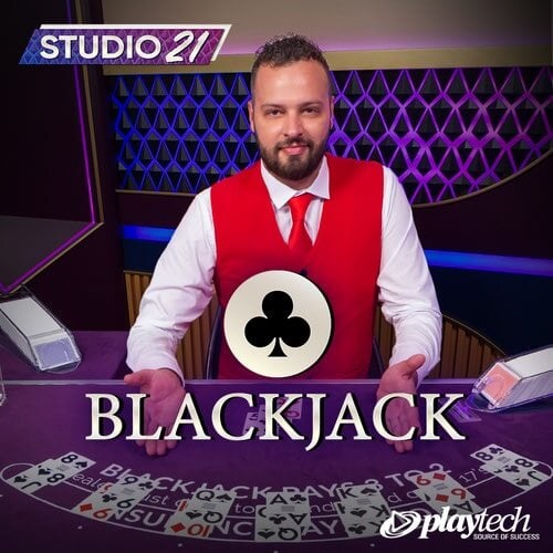 Technical gameplay interface showing blackjack cards and betting options.