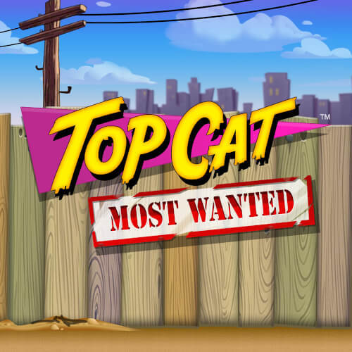 Play Top Cat JK Slot Online at Mega Casino