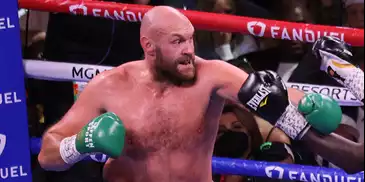 Fury v Joshua Insights - Dr. Rob Wilson