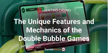 The-Unique-Features-and-Mechanics-of-the-Double-Bubble-Games