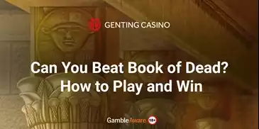 book of dead how to play article banner