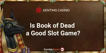 book of dead review article banner