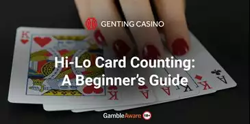 hi lo card counting system blog banner