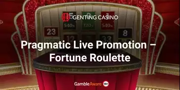 Fortune Roulette Promotion