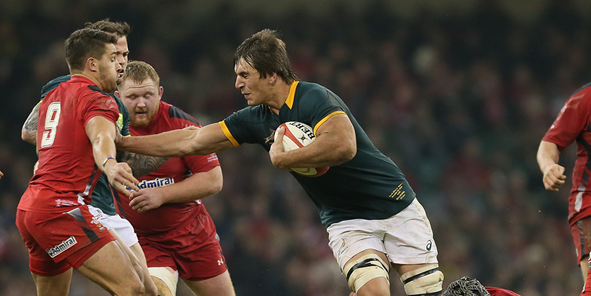 Springboks v Wales Preview – 1st Test