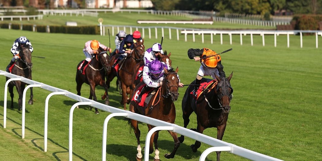 Sandown Coral-Eclipse Day Preview