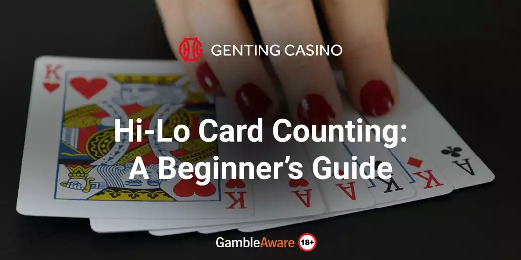 hi lo card counting system blog banner