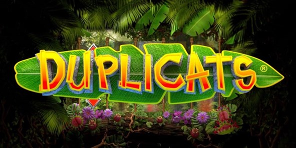 Super Graphics Super Lucky Review