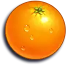 Jammin' Jars Slot - Orange Symbol