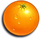 2_orange