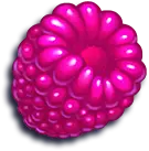 3_raspberry