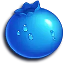 6_blueberry