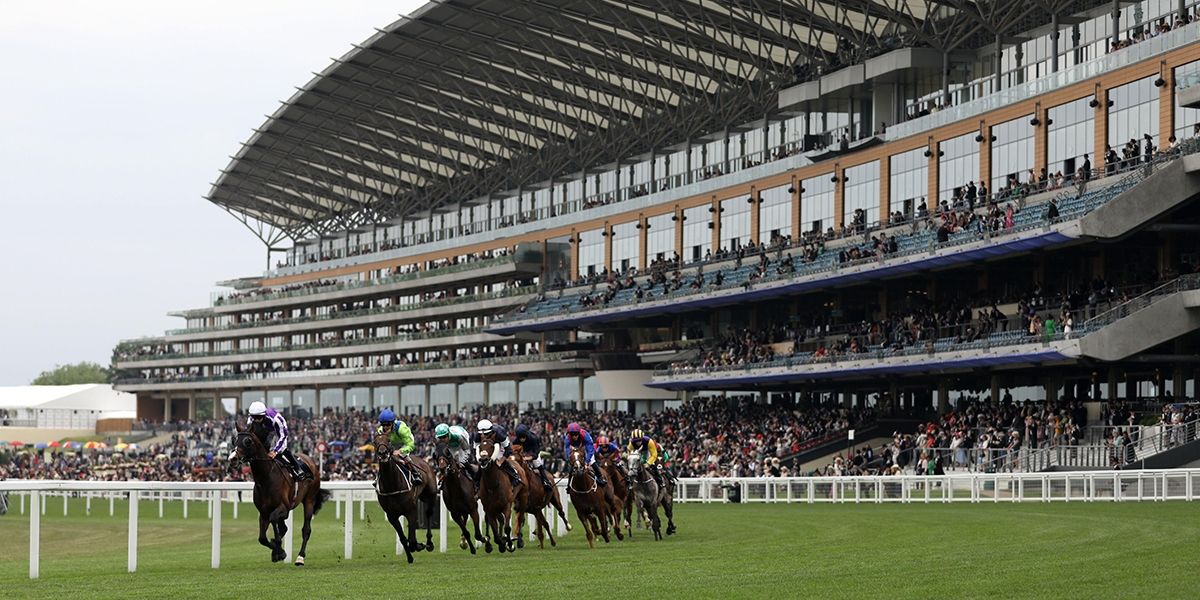 Ascot Preview