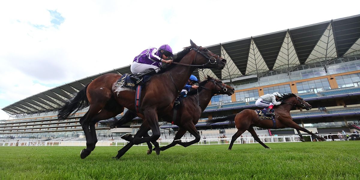 Royal Ascot Betting Tips – Day Two