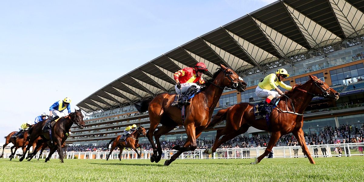 Ascot Preview