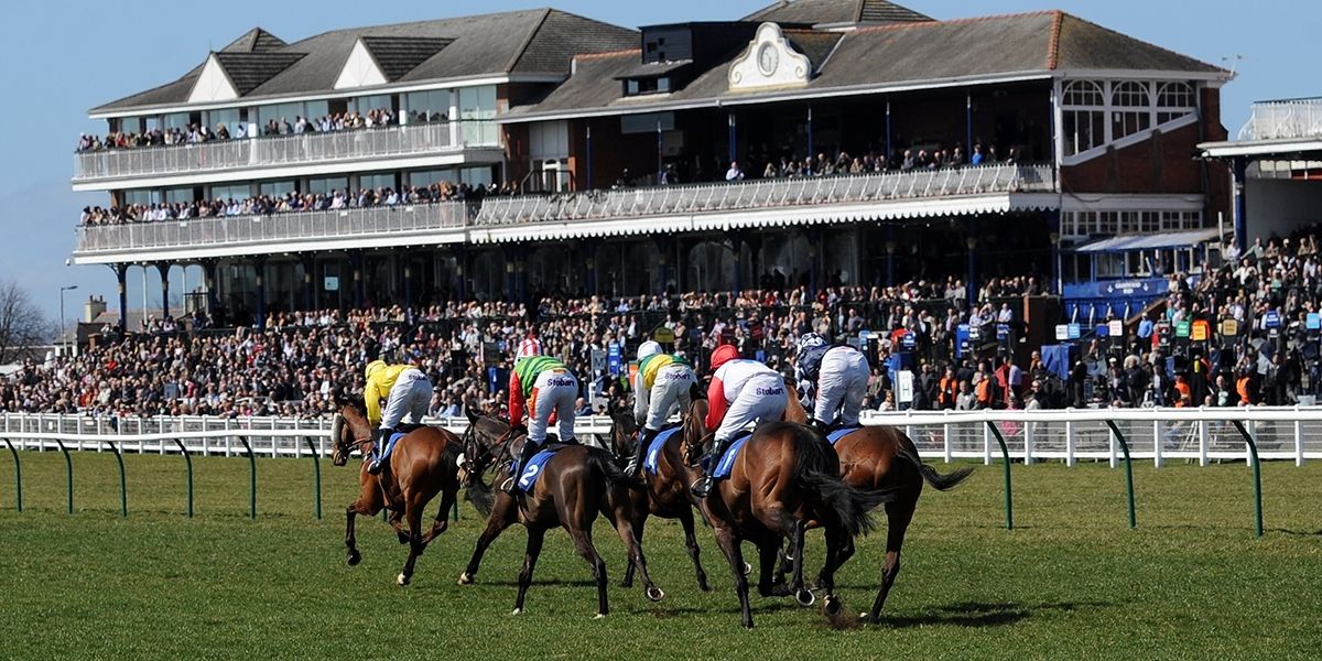 Saturday Racing - Betting Preview