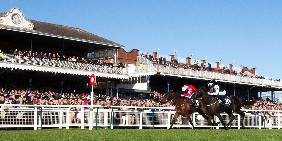 Ayr Gold Cup Day Preview And Betting Tips