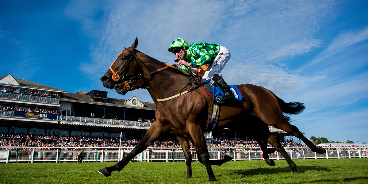 Ayr Gold Cup Day Preview