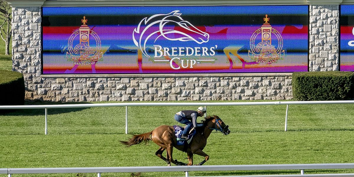 Breeders' Cup Preview And Betting Tips – Day Two Saturday 7 November