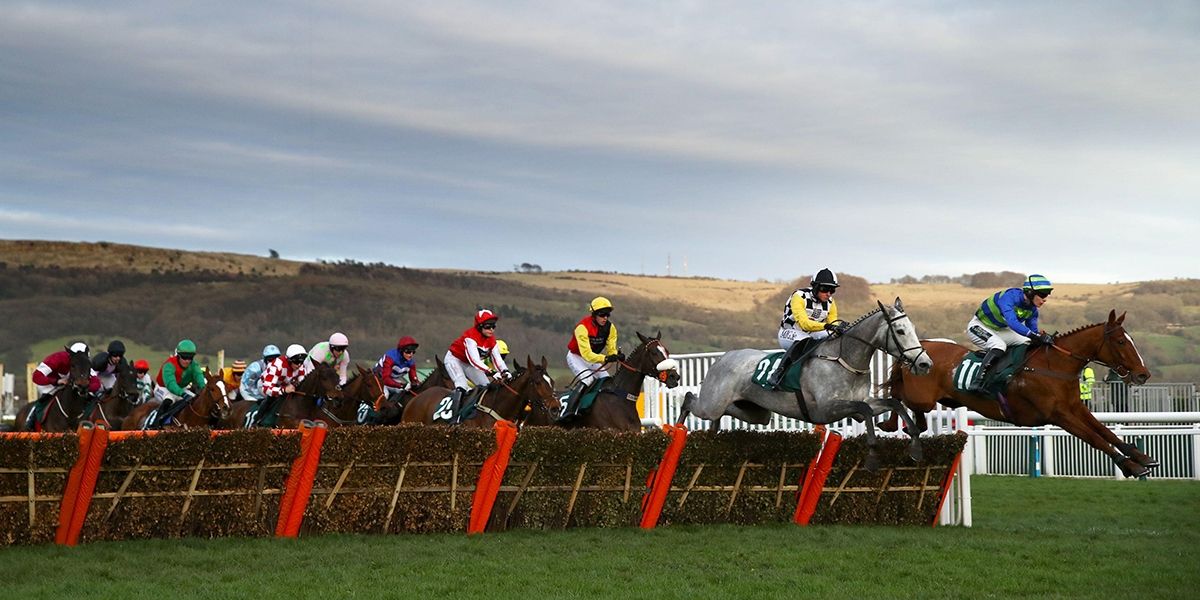 Cheltenham Festival Day Two Betting Tips