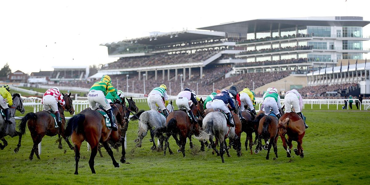 Cheltenham Showcase Meeting Preview