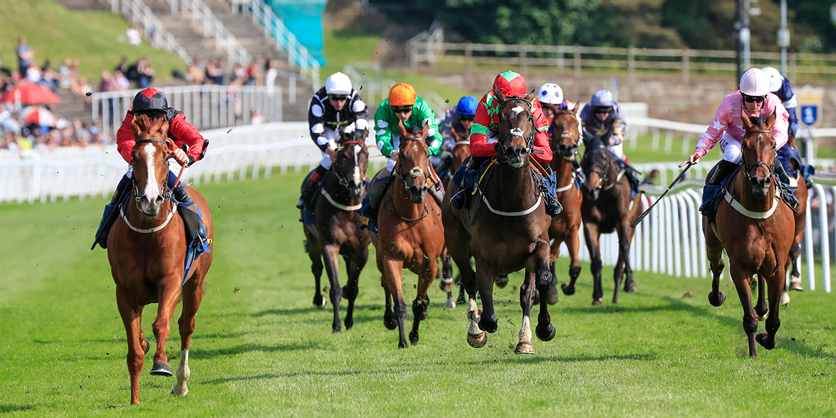 Cheshire Day Preview - Chester Races