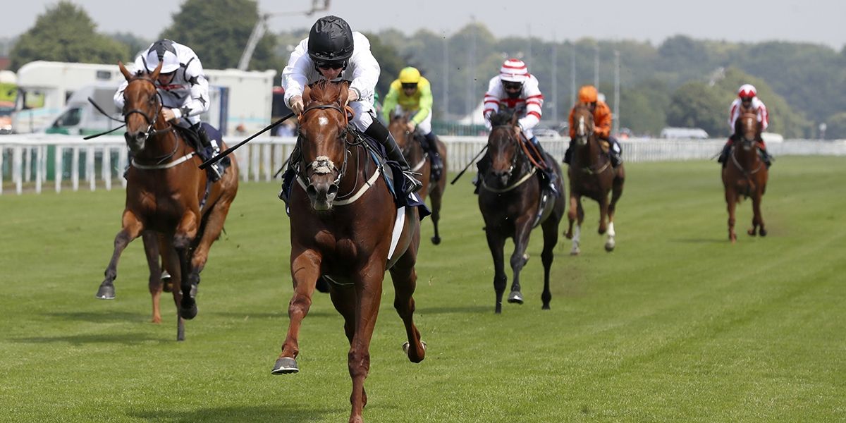 St Leger Festival Preview And Betting Tips - Day One